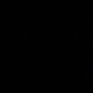 Meet your Posher, Irma